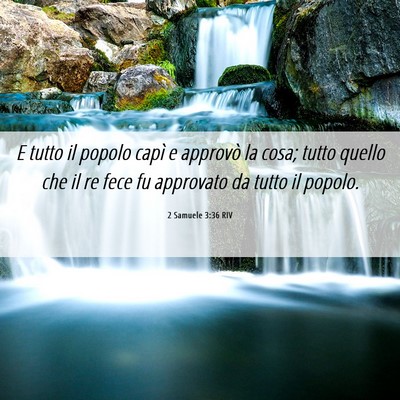 Picture 06 - 2 Samuele 3:36 RIV - E tutto il popolo capì e approvò la cosa; tutto - Bible Verse Picture