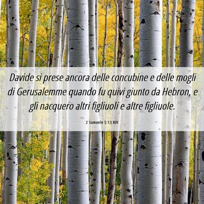 Picture 06 - 2 Samuele 5:13 RIV - Davide si prese ancora delle concubine e delle - Bible Verse Picture