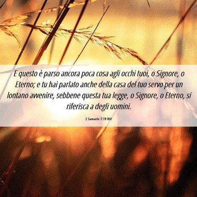 Picture 06 - 2 Samuele 7:19 RIV - E questo è parso ancora poca cosa agli occhi - Bible Verse Picture