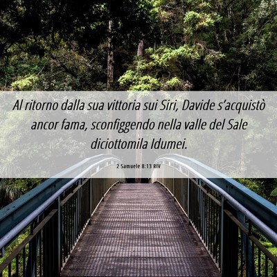 Picture 06 - 2 Samuele 8:13 RIV - Al ritorno dalla sua vittoria sui Siri, Davide - Bible Verse Picture