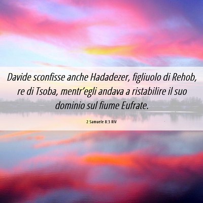 Picture 06 - 2 Samuele 8:3 RIV - Davide sconfisse anche Hadadezer, figliuolo di - Bible Verse Picture