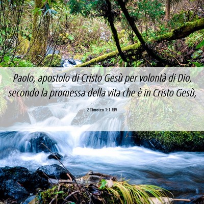 Picture 06 - 2 Timoteo 1:1 RIV - Paolo, apostolo di Cristo Gesù per volontà di - Bible Verse Picture
