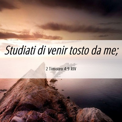 Picture 06 - 2 Timoteo 4:9 RIV - Studiati di venir tosto da - Bible Verse Picture