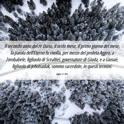 Picture 06 - Aggeo 1:1 RIV - Il secondo anno del re Dario, il sesto mese, il - Bible Verse Picture