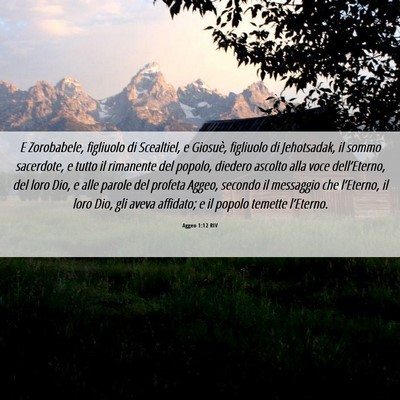 Picture 06 - Aggeo 1:12 RIV - E Zorobabele, figliuolo di Scealtiel, e Giosuè, - Bible Verse Picture