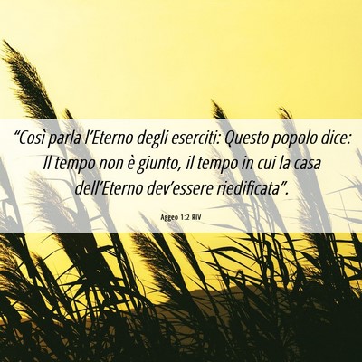 Picture 06 - Aggeo 1:2 RIV - “Così parla l’Eterno degli eserciti: Questo - Bible Verse Picture