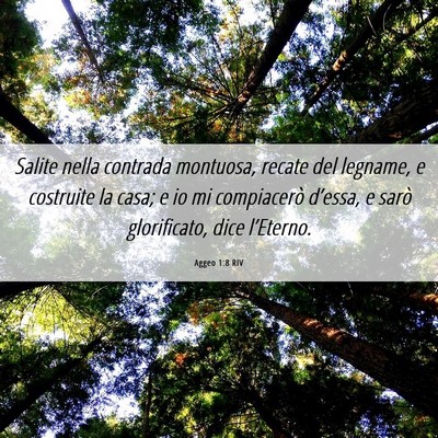 Picture 06 - Aggeo 1:8 RIV - Salite nella contrada montuosa, recate del - Bible Verse Picture