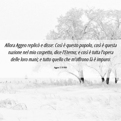 Picture 06 - Aggeo 2:14 RIV - Allora Aggeo replicò e disse: Così è questo - Bible Verse Picture