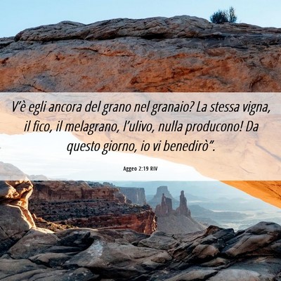 Picture 06 - Aggeo 2:19 RIV - V’è egli ancora del grano nel granaio? La - Bible Verse Picture