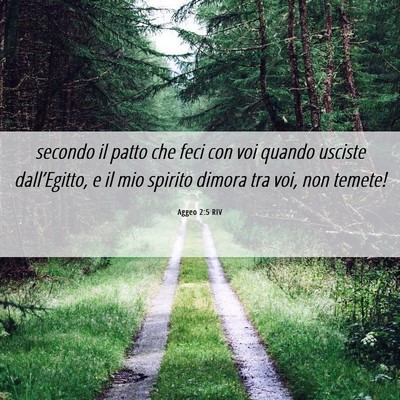 Picture 06 - Aggeo 2:5 RIV - secondo il patto che feci con voi quando usciste - Bible Verse Picture