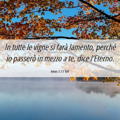 Picture 06 - Amos 5:17 RIV - In tutte le vigne si farà lamento, perché io - Bible Verse Picture