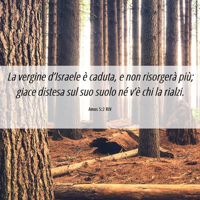 Picture 06 - Amos 5:2 RIV - La vergine d’Israele è caduta, e non - Bible Verse Picture