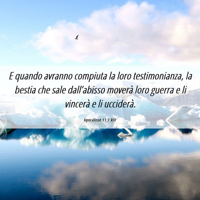 Picture 06 - Apocalisse 11:7 RIV - E quando avranno compiuta la loro testimonianza, - Bible Verse Picture