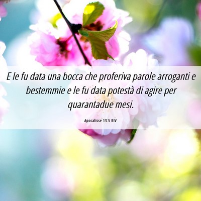 Picture 06 - Apocalisse 13:5 RIV - E le fu data una bocca che proferiva parole - Bible Verse Picture