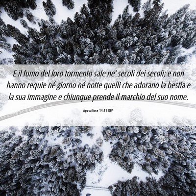 Picture 06 - Apocalisse 14:11 RIV - E il fumo del loro tormento sale ne’ secoli dei - Bible Verse Picture