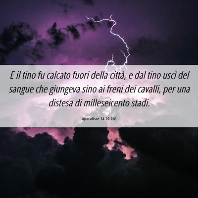 Picture 06 - Apocalisse 14:20 RIV - E il tino fu calcato fuori della città, e dal - Bible Verse Picture
