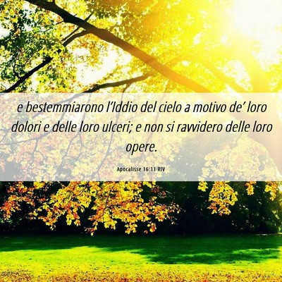 Picture 06 - Apocalisse 16:11 RIV - e bestemmiarono l’Iddio del cielo a motivo - Bible Verse Picture