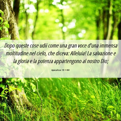 Picture 06 - Apocalisse 19:1 RIV - Dopo queste cose udii come una gran voce d’una - Bible Verse Picture