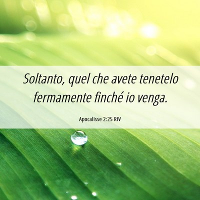 Picture 06 - Apocalisse 2:25 RIV - Soltanto, quel che avete tenetelo fermamente - Bible Verse Picture