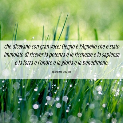 Picture 06 - Apocalisse 5:12 RIV - che dicevano con gran voce: Degno è l’Agnello - Bible Verse Picture