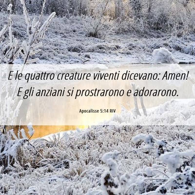 Picture 06 - Apocalisse 5:14 RIV - E le quattro creature viventi dicevano: Amen! E - Bible Verse Picture