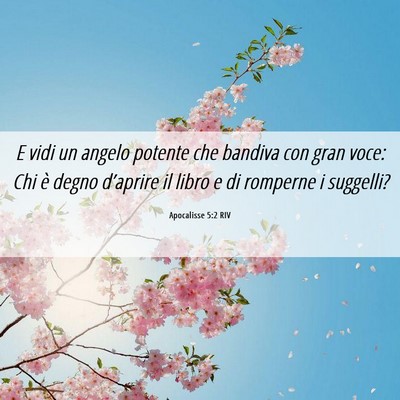 Picture 06 - Apocalisse 5:2 RIV - E vidi un angelo potente che bandiva con gran - Bible Verse Picture