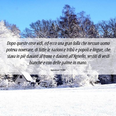 Picture 06 - Apocalisse 7:9 RIV - Dopo queste cose vidi, ed ecco una gran folla che - Bible Verse Picture