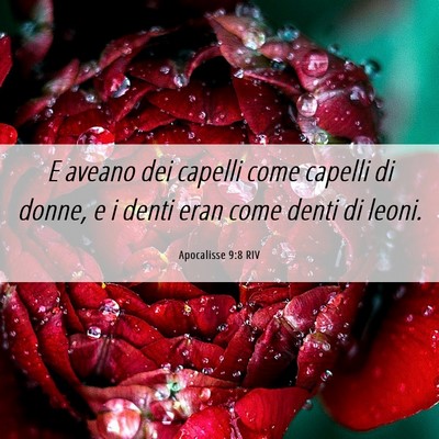 Picture 06 - Apocalisse 9:8 RIV - E aveano dei capelli come capelli di donne, e i - Bible Verse Picture