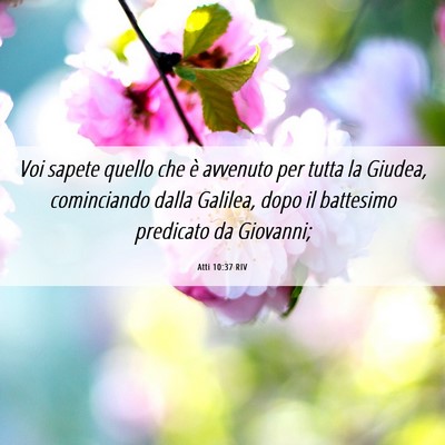 Picture 06 - Atti 10:37 RIV - Voi sapete quello che è avvenuto per tutta la - Bible Verse Picture
