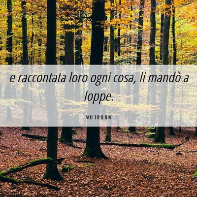Picture 06 - Atti 10:8 RIV - e raccontata loro ogni cosa, li mandò a - Bible Verse Picture