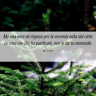Picture 06 - Atti 11:9 RIV - Ma una voce mi rispose per la seconda volta dal - Bible Verse Picture