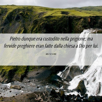 Picture 06 - Atti 12:5 RIV - Pietro dunque era custodito nella prigione; ma - Bible Verse Picture
