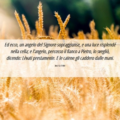 Picture 06 - Atti 12:7 RIV - Ed ecco, un angelo del Signore sopraggiunse, e - Bible Verse Picture