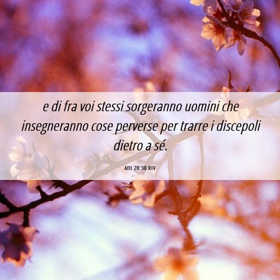 Picture 06 - Atti 20:30 RIV - e di fra voi stessi sorgeranno uomini che - Bible Verse Picture