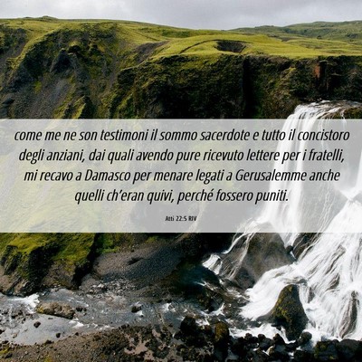 Picture 06 - Atti 22:5 RIV - come me ne son testimoni il sommo sacerdote e - Bible Verse Picture