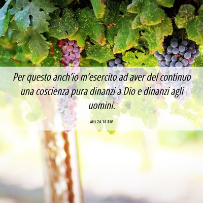 Picture 06 - Atti 24:16 RIV - Per questo anch’io m’esercito ad aver del - Bible Verse Picture