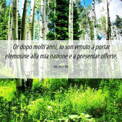Picture 06 - Atti 24:17 RIV - Or dopo molti anni, io son venuto a portar - Bible Verse Picture