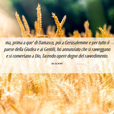 Picture 06 - Atti 26:20 RIV - ma, prima a que’ di Damasco, poi a Gerusalemme - Bible Verse Picture