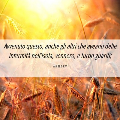 Picture 06 - Atti 28:9 RIV - Avvenuto questo, anche gli altri che aveano delle - Bible Verse Picture