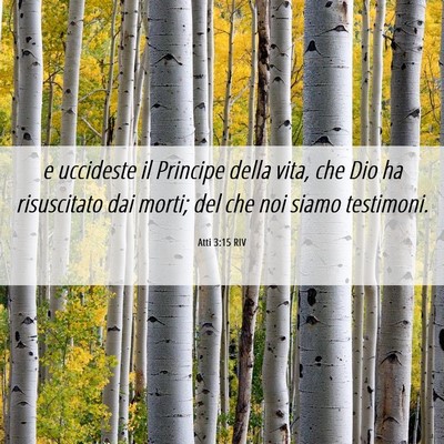 Picture 06 - Atti 3:15 RIV - e uccideste il Principe della vita, che Dio ha - Bible Verse Picture