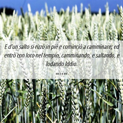 Picture 06 - Atti 3:8 RIV - E d’un salto si rizzò in piè e cominciò a - Bible Verse Picture