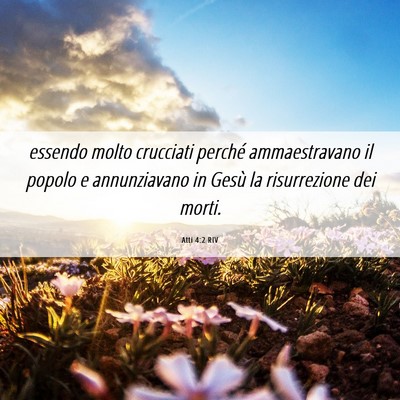 Picture 06 - Atti 4:2 RIV - essendo molto crucciati perché ammaestravano il - Bible Verse Picture