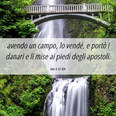 Picture 06 - Atti 4:37 RIV - avendo un campo, lo vendé, e portò i danari e - Bible Verse Picture