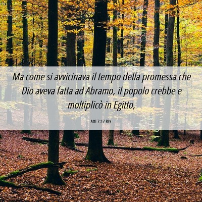 Picture 06 - Atti 7:17 RIV - Ma come si avvicinava il tempo della promessa che - Bible Verse Picture
