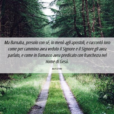 Picture 06 - Atti 9:27 RIV - Ma Barnaba, presolo con sé, lo menò agli - Bible Verse Picture