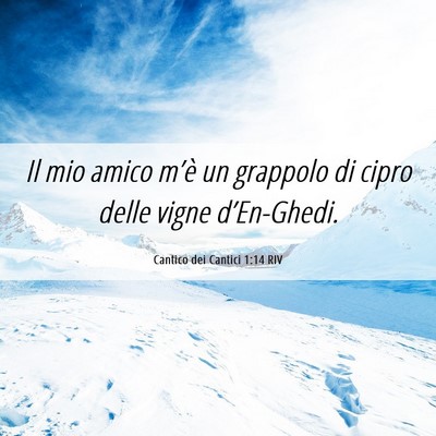 Picture 06 - Cantico dei Cantici 1:14 RIV - Il mio amico m’è un grappolo di cipro delle - Bible Verse Picture