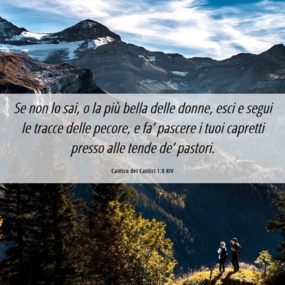 Picture 06 - Cantico dei Cantici 1:8 RIV - Se non lo sai, o la più bella delle donne, esci - Bible Verse Picture