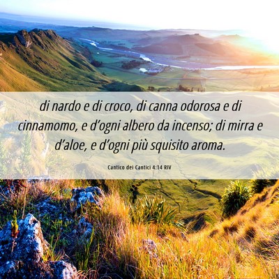 Picture 06 - Cantico dei Cantici 4:14 RIV - di nardo e di croco, di canna odorosa e di - Bible Verse Picture