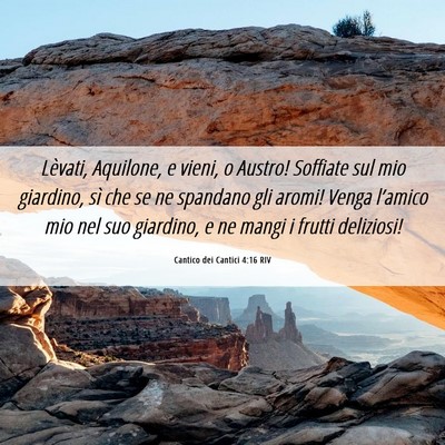 Picture 06 - Cantico dei Cantici 4:16 RIV - Lèvati, Aquilone, e vieni, o Austro! Soffiate - Bible Verse Picture