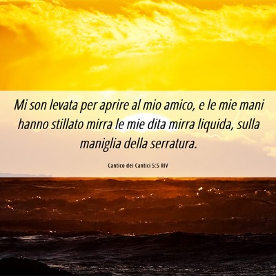 Picture 06 - Cantico dei Cantici 5:5 RIV - Mi son levata per aprire al mio amico, e le mie - Bible Verse Picture